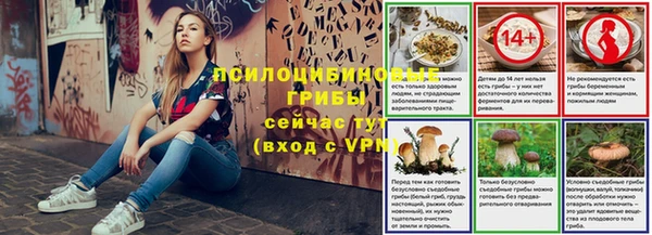 герыч Алексин