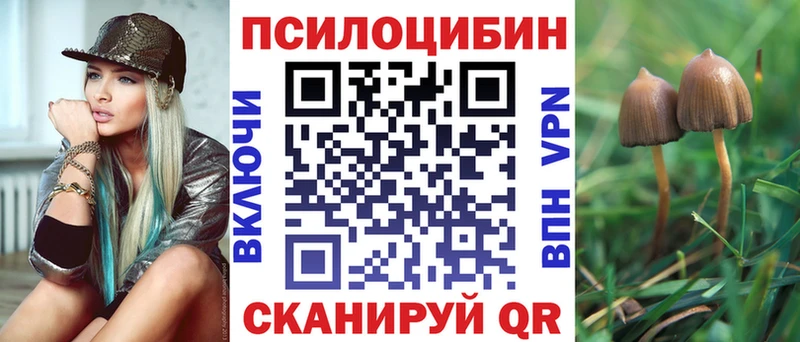 Галлюциногенные грибы мухоморы  хочу   Шумиха 